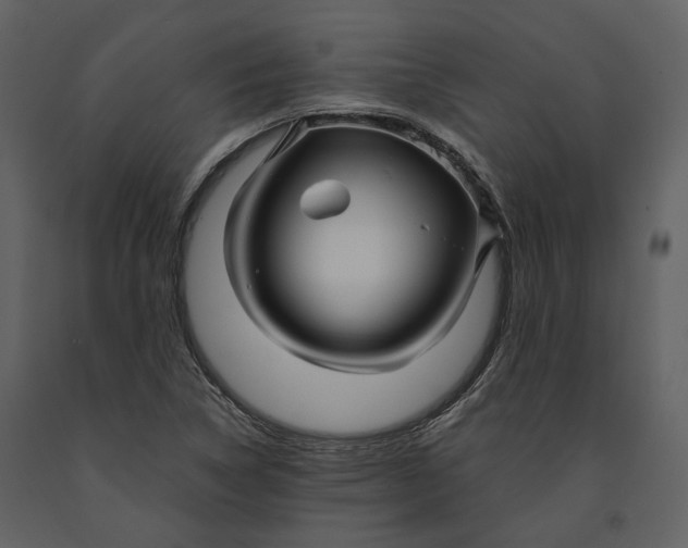 X0000090961314200708241143