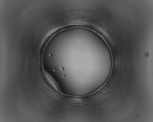 X0000090961315200708241143