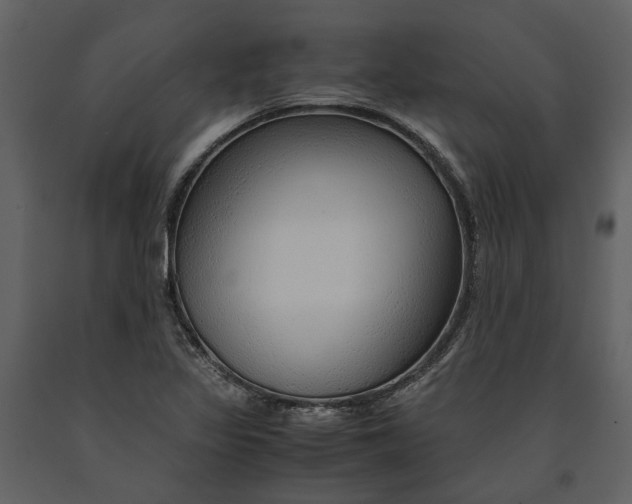 X0000090961317200708241143