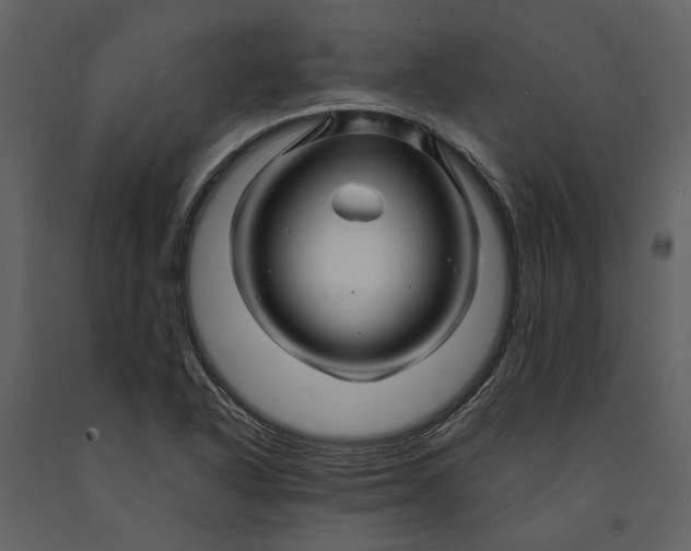 X0000090961318200708241143