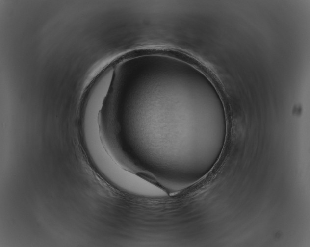 X0000090961319200708241143