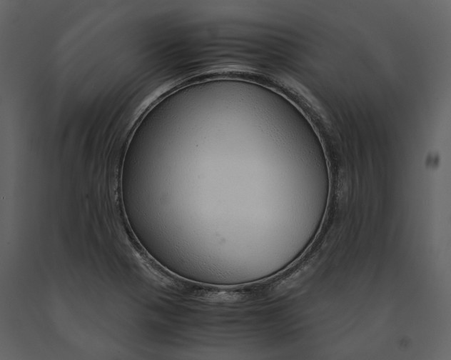 X0000090961321200708241143