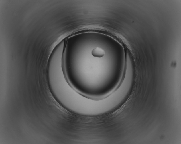 X0000090961322200708241143
