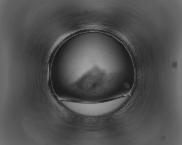 X0000090961323200708241143