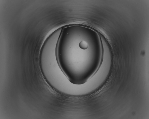X0000090961324200708241143