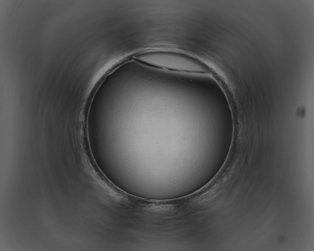 X0000090961325200708241143