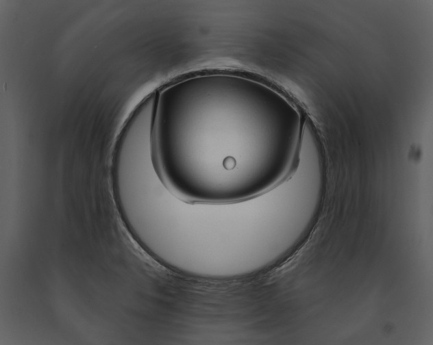 X0000090961326200708241144