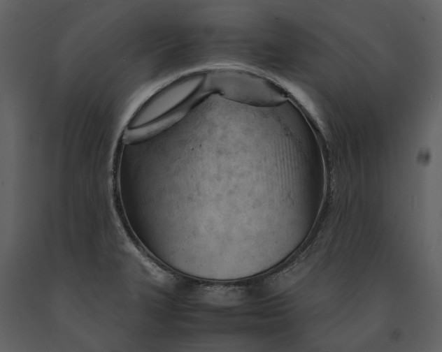 X0000090961327200708241144