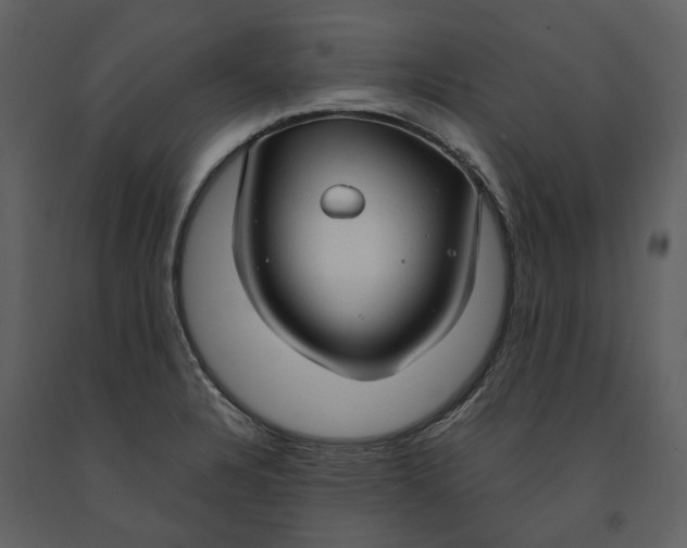 X0000090961328200708241144
