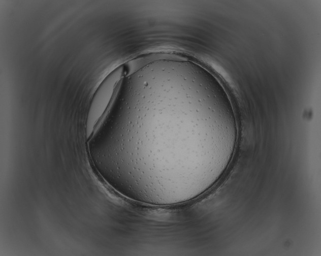 X0000090961329200708241144