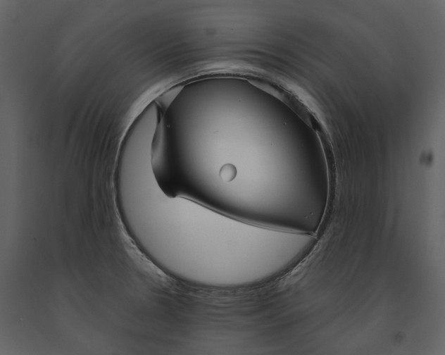 X0000090961330200708241144