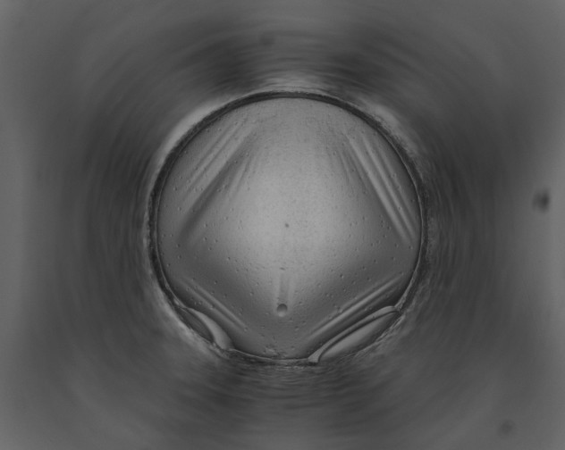 X0000090961331200708241144