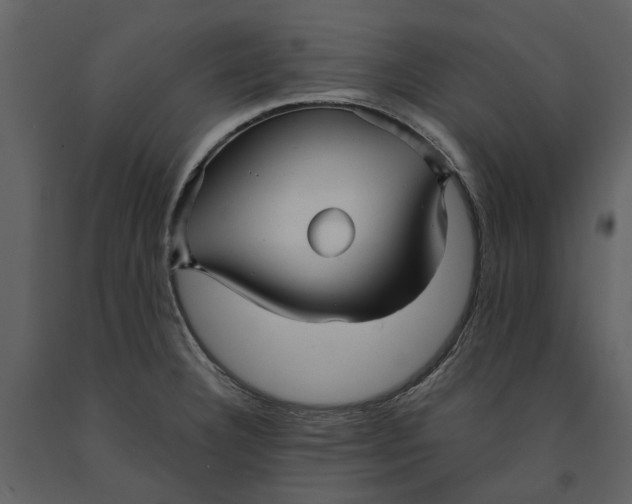 X0000090961332200708241144