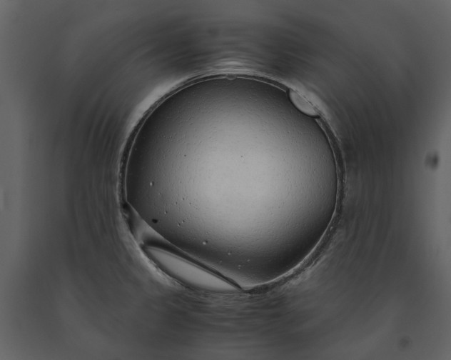 X0000090961333200708241144