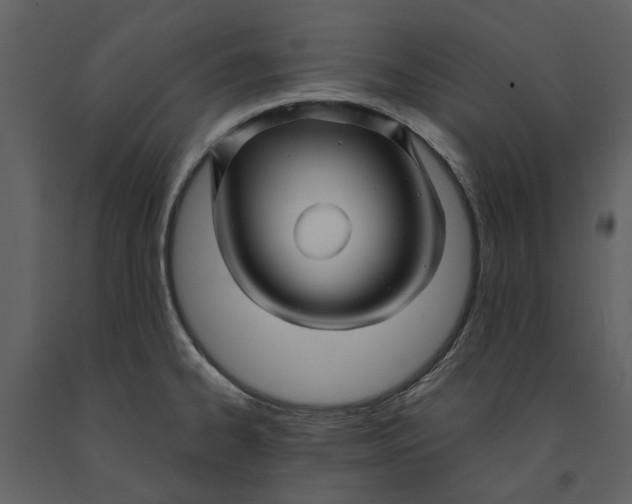 X0000090961334200708241144