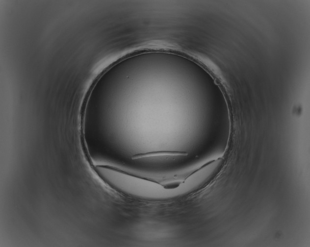 X0000090961335200708241144