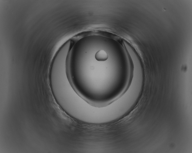 X0000090961336200708241144