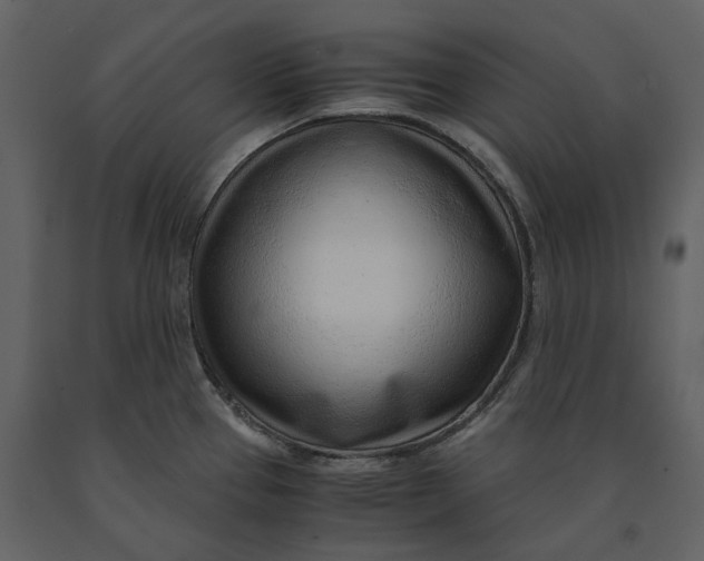 X0000090961337200708241144