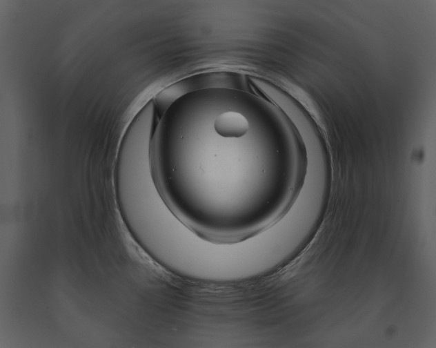 X0000090961338200708241144