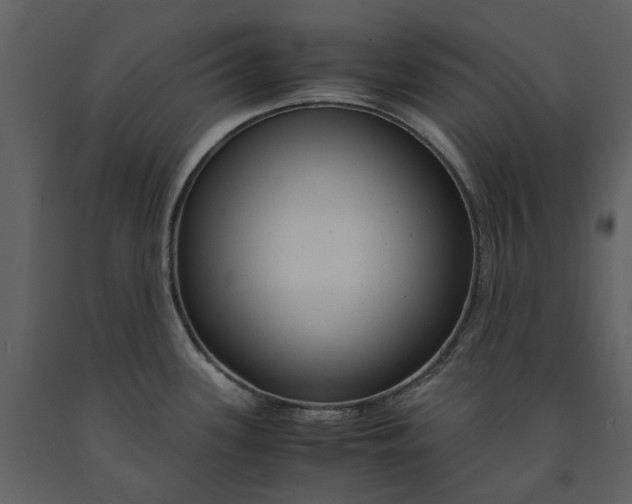 X0000090961339200708241144