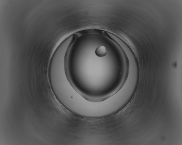 X0000090961340200708241144