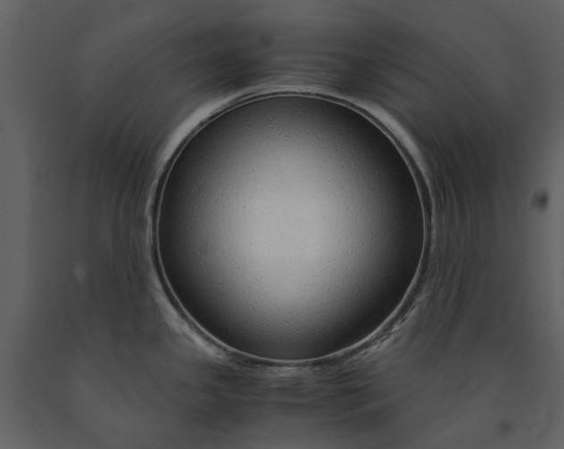 X0000090961341200708241144