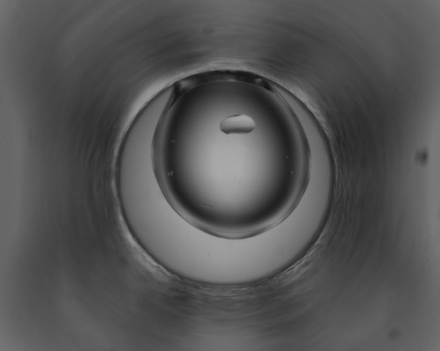 X0000090961342200708241144