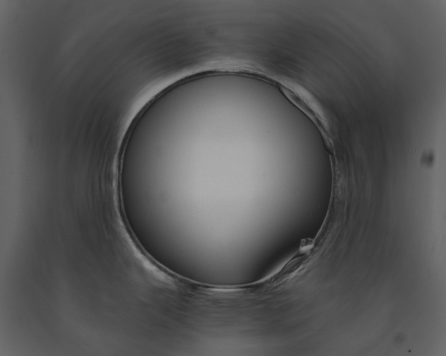 X0000090961343200708241144