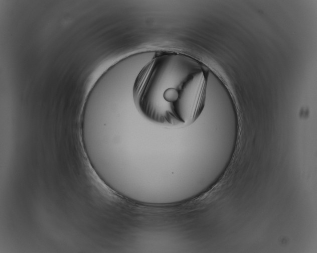 X0000090961344200708241144