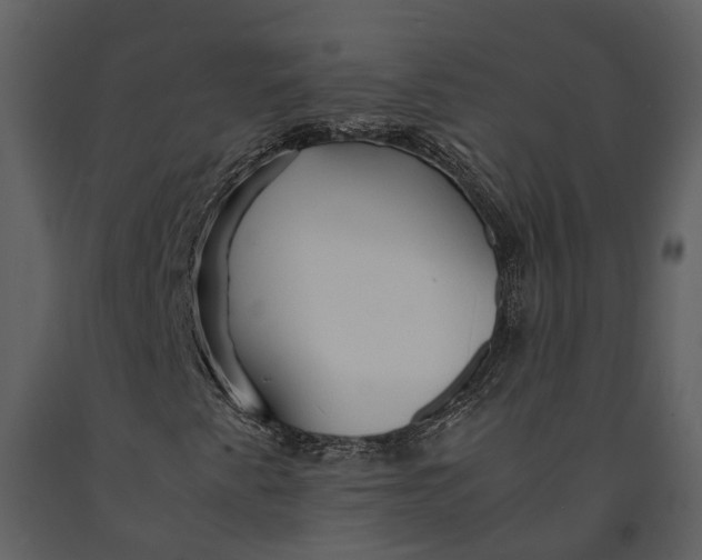 X0000090961345200708241143