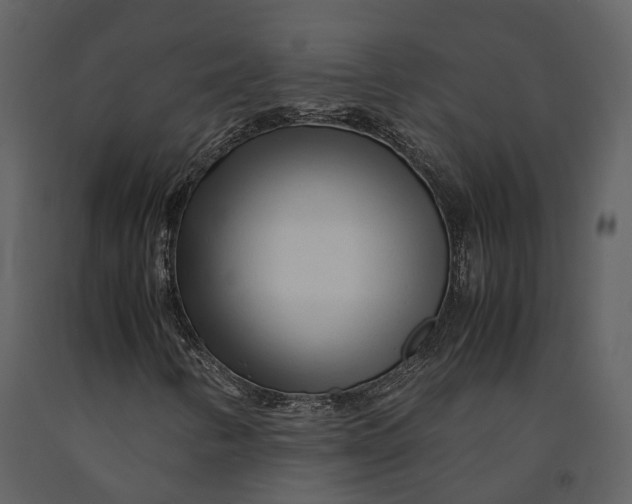 X0000090961346200708241143