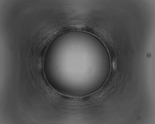 X0000090961347200708241143