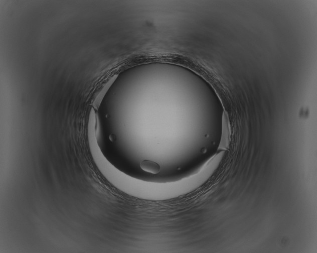 X0000090961348200708241143