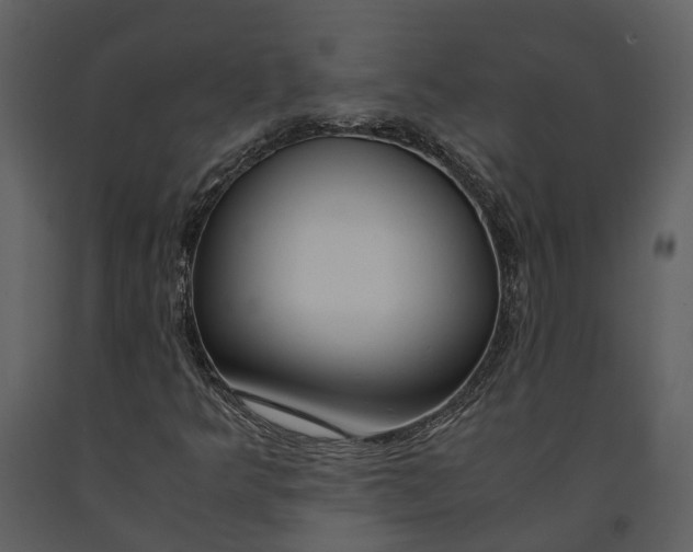 X0000090961349200708241143