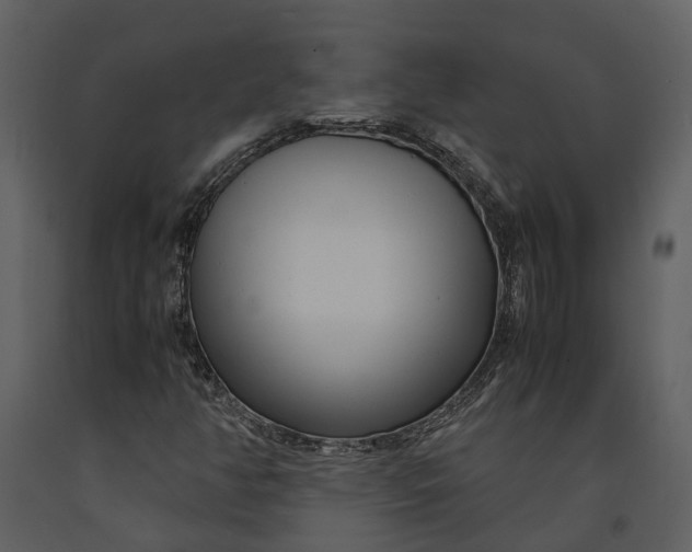 X0000090961350200708241143