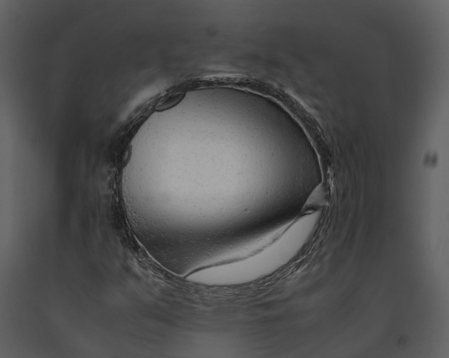 X0000090961351200708241143