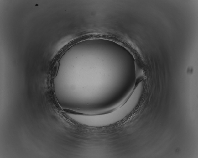 X0000090961352200708241143