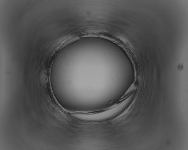 X0000090961353200708241143