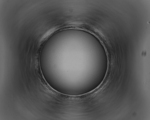 X0000090961354200708241143