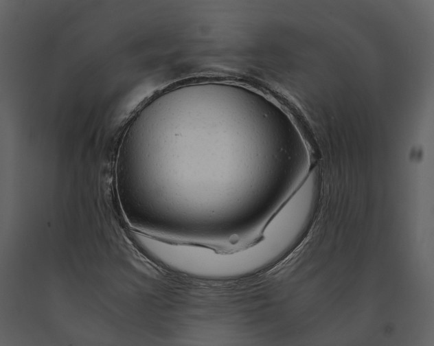 X0000090961355200708241143