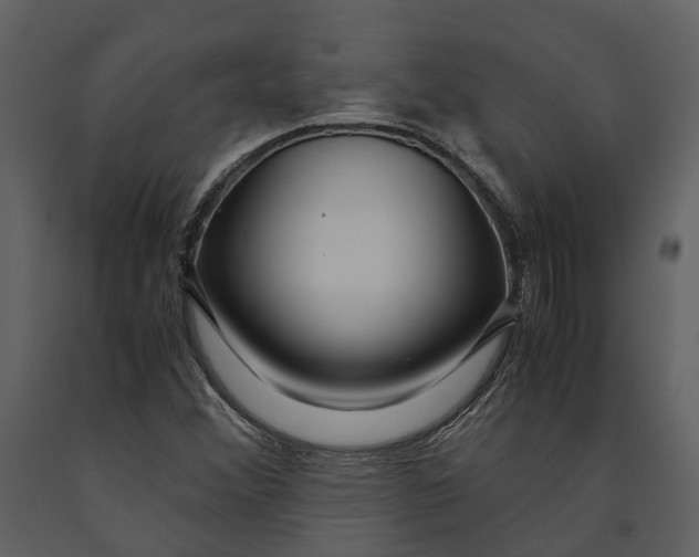 X0000090961356200708241143