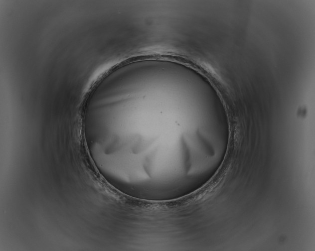 X0000090961358200708241143