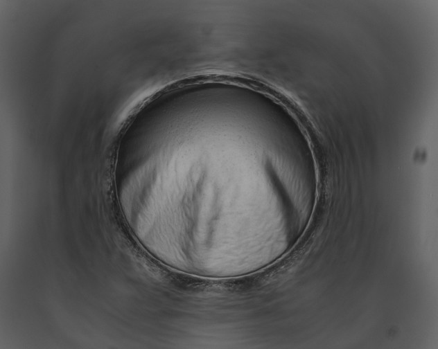 X0000090961359200708241143