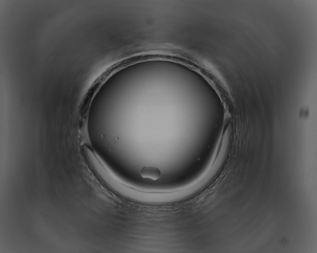 X0000090961360200708241143