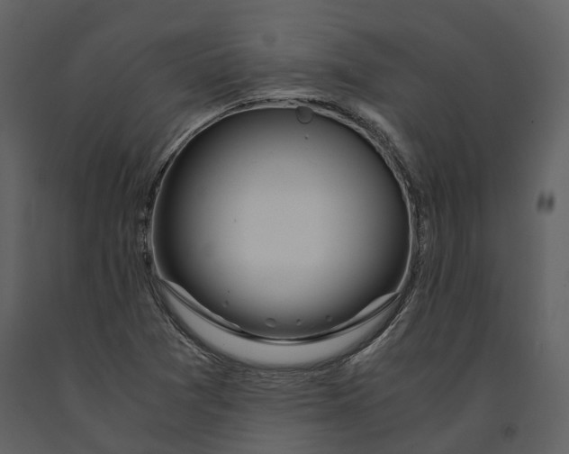 X0000090961361200708241143