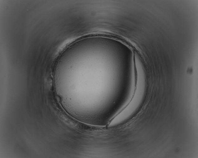 X0000090961363200708241143