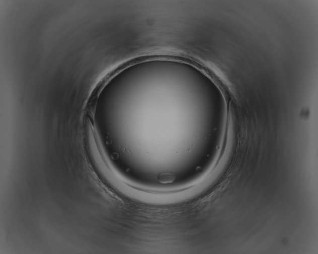 X0000090961364200708241143