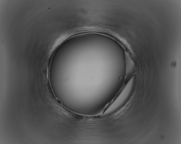 X0000090961365200708241143