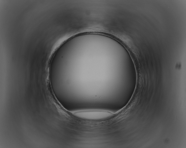 X0000090961366200708241143