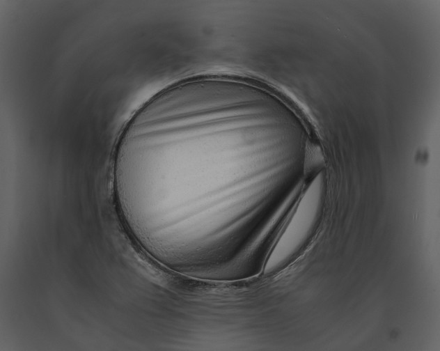 X0000090961367200708241143